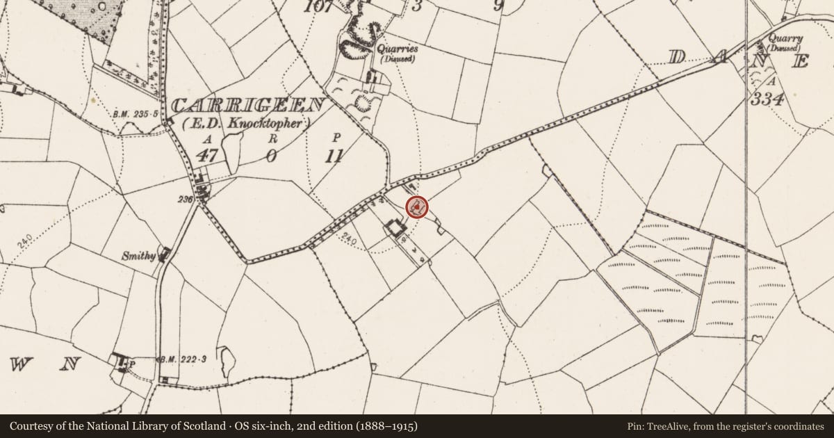 Ordnance Survey six-inch map, 2nd edition (1888–1915) covering the location of Chapel, Castlecolumb, County Kilkenny, with a pin at the register's coordinates