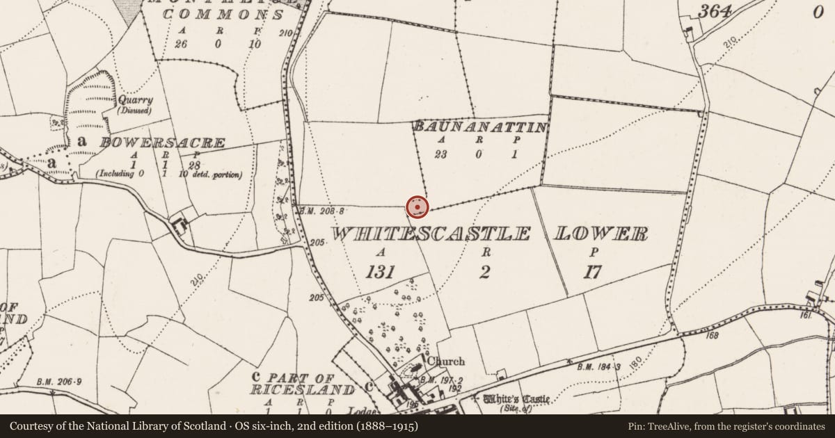 Ordnance Survey six-inch map, 2nd edition (1888–1915) covering the location of Castle - unclassified, Baunanattin, County Kilkenny, with a pin at the register's coordinates
