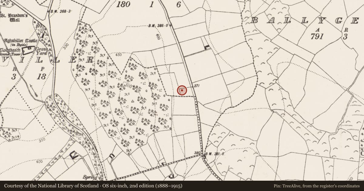 Ordnance Survey six-inch map, 2nd edition (1888–1915) covering the location of Enclosure, Newmarket, County Kilkenny, with a pin at the register's coordinates