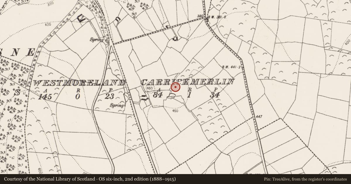 Ordnance Survey six-inch map, 2nd edition (1888–1915) covering the location of Fulacht fia, Carrickmerlin, County Kilkenny, with a pin at the register's coordinates