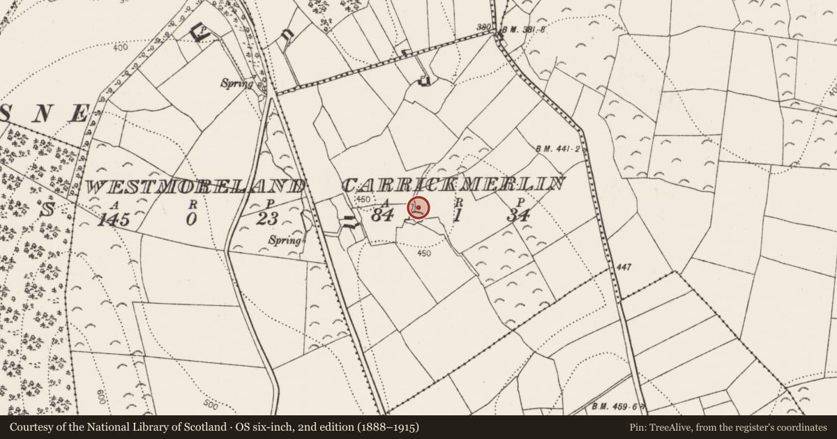Ordnance Survey six-inch map, 2nd edition (1888–1915) covering the location of Fulacht fia, Carrickmerlin, County Kilkenny, with a pin at the register's coordinates
