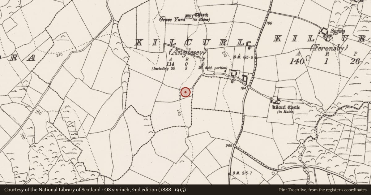 Ordnance Survey six-inch map, 2nd edition (1888–1915) covering the location of Ringfort - unclassified, Kilcurl (Anglesea), County Kilkenny, with a pin at the register's coordinates
