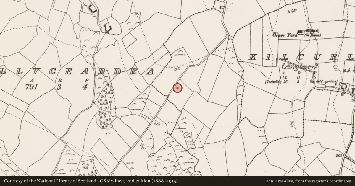 Ordnance Survey six-inch map, 2nd edition (1888–1915) covering the location of Excavation - miscellaneous, Ballyboodan, County Kilkenny, with a pin at the register's coordinates