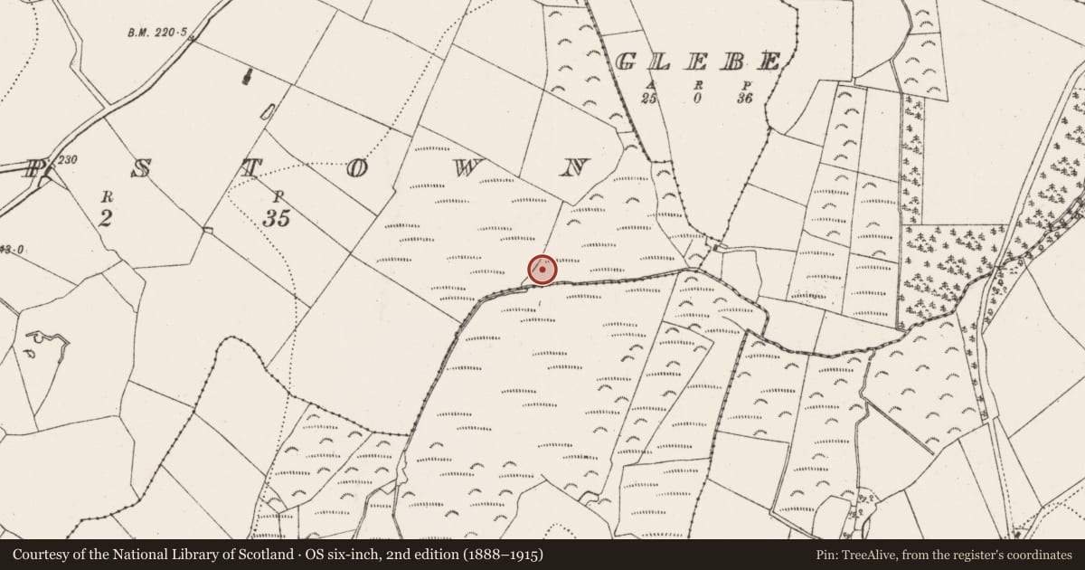 Ordnance Survey six-inch map, 2nd edition (1888–1915) covering the location of Burnt spread, Sheepstown, County Kilkenny, with a pin at the register's coordinates