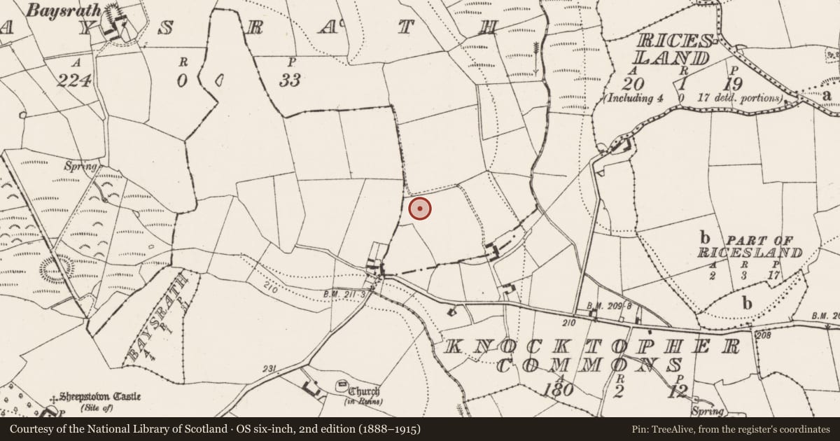Ordnance Survey six-inch map, 2nd edition (1888–1915) covering the location of Enclosure, Baysrath, County Kilkenny, with a pin at the register's coordinates