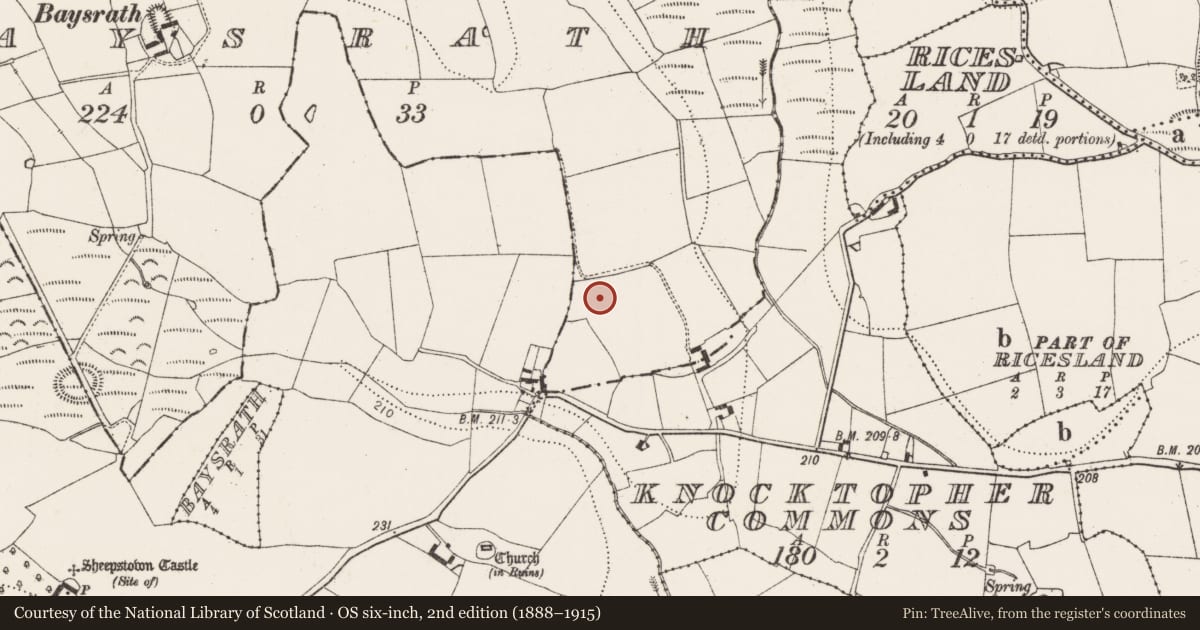 Ordnance Survey six-inch map, 2nd edition (1888–1915) covering the location of House - Iron Age, Baysrath, County Kilkenny, with a pin at the register's coordinates