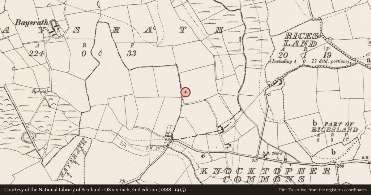 Ordnance Survey six-inch map, 2nd edition (1888–1915) covering the location of House - medieval, Baysrath, County Kilkenny, with a pin at the register's coordinates