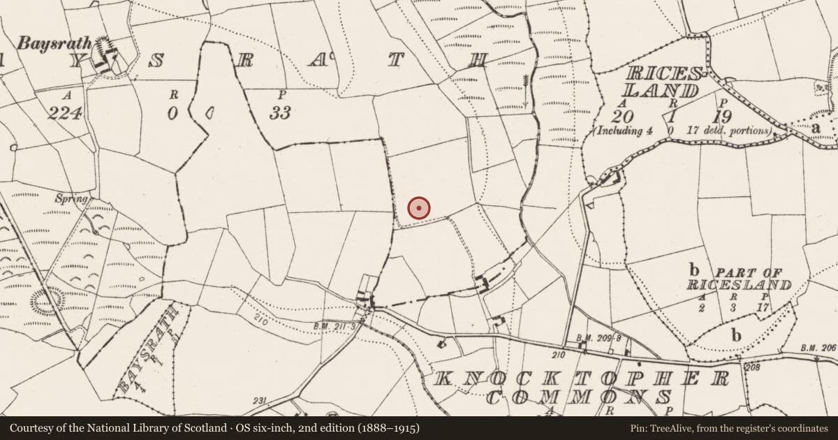 Ordnance Survey six-inch map, 2nd edition (1888–1915) covering the location of Field system, Baysrath, County Kilkenny, with a pin at the register's coordinates