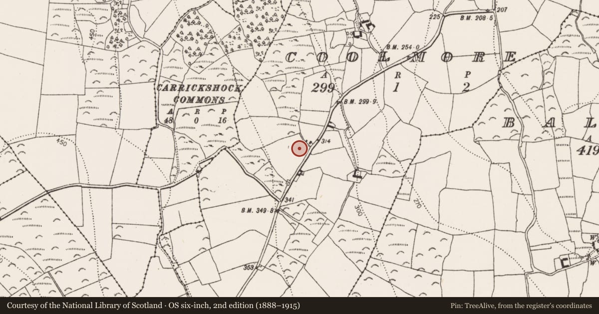 Ordnance Survey six-inch map, 2nd edition (1888–1915) covering the location of Flat cemetery, Coolmore, County Kilkenny, with a pin at the register's coordinates