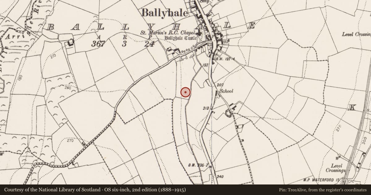 Ordnance Survey six-inch map, 2nd edition (1888–1915) covering the location of Burnt mound, Ballyhale, County Kilkenny, with a pin at the register's coordinates
