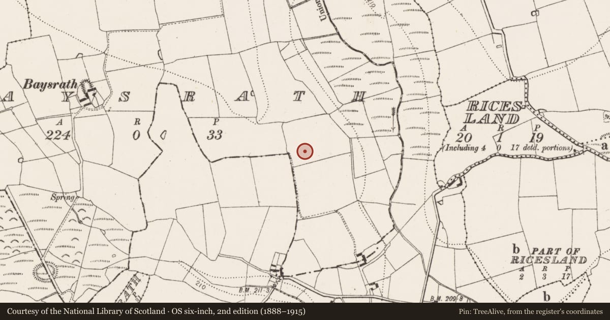 Ordnance Survey six-inch map, 2nd edition (1888–1915) covering the location of Road - road/trackway, Baysrath, County Kilkenny, with a pin at the register's coordinates