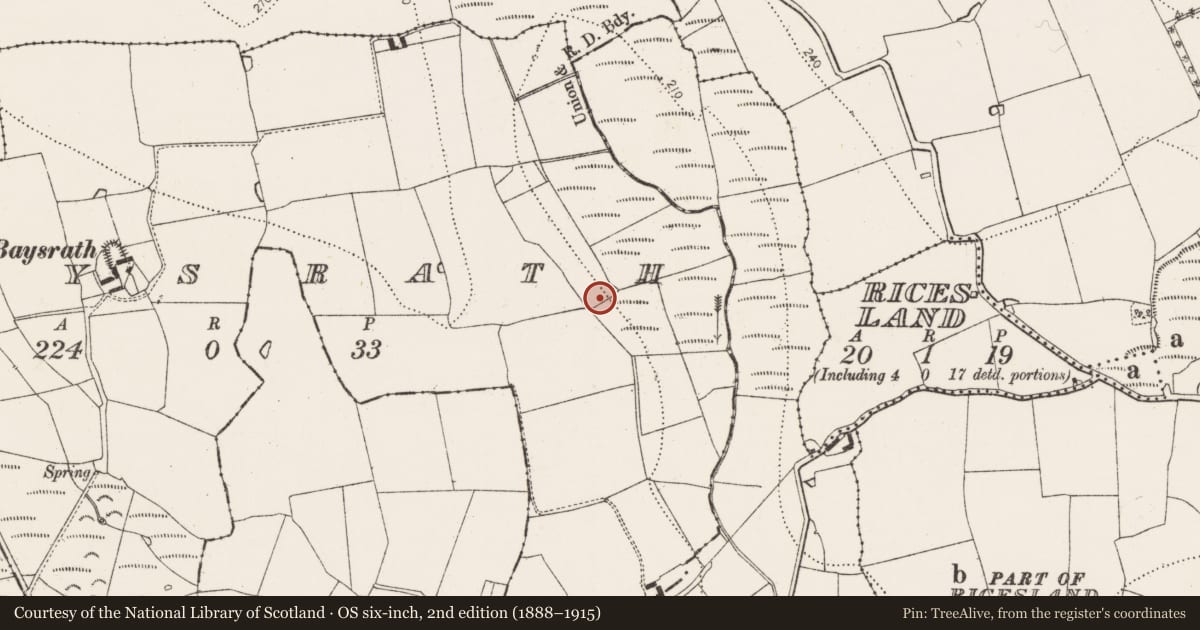 Ordnance Survey six-inch map, 2nd edition (1888–1915) covering the location of Fulacht fia, Baysrath, County Kilkenny, with a pin at the register's coordinates