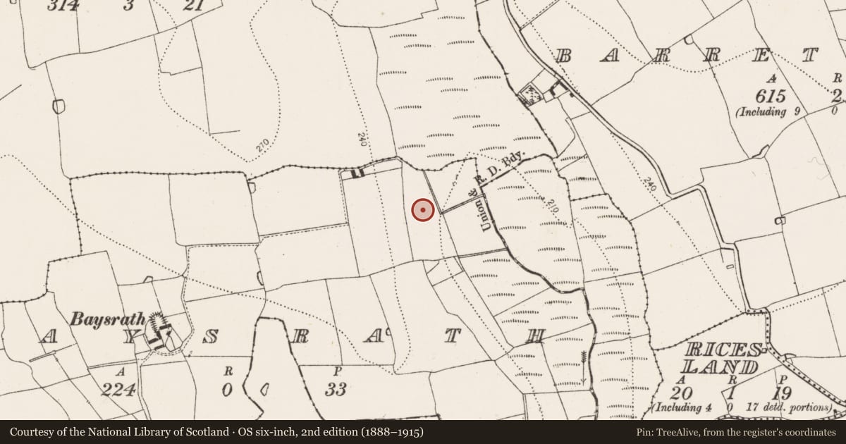 Ordnance Survey six-inch map, 2nd edition (1888–1915) covering the location of Burnt mound, Baysrath, County Kilkenny, with a pin at the register's coordinates