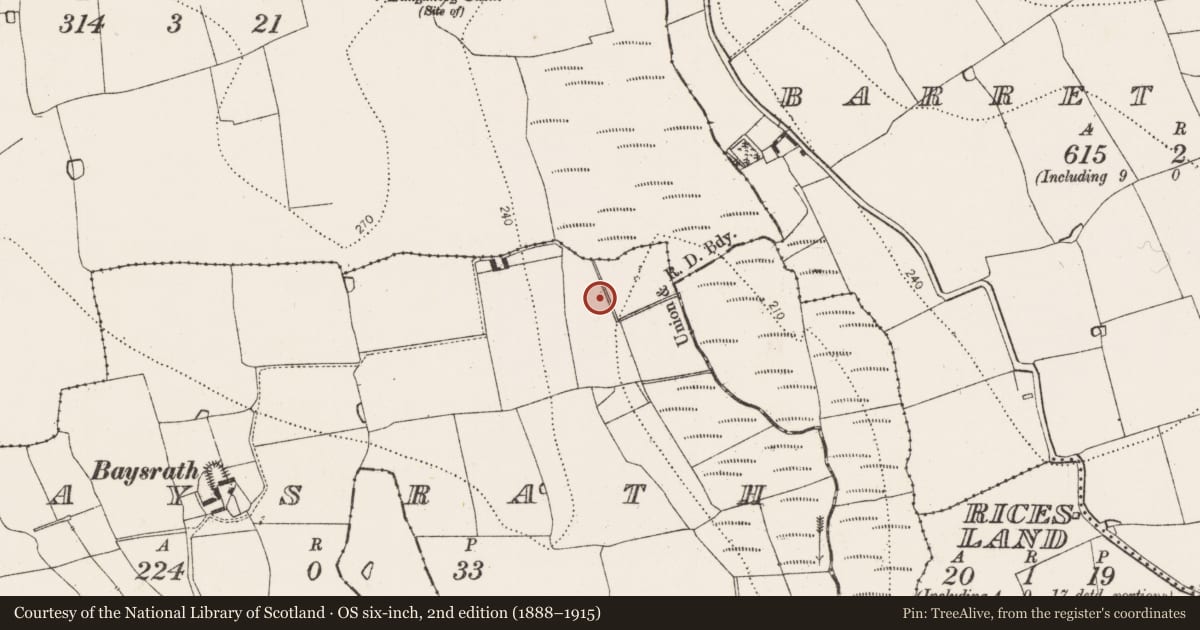 Ordnance Survey six-inch map, 2nd edition (1888–1915) covering the location of Fulacht fia, Baysrath, County Kilkenny, with a pin at the register's coordinates