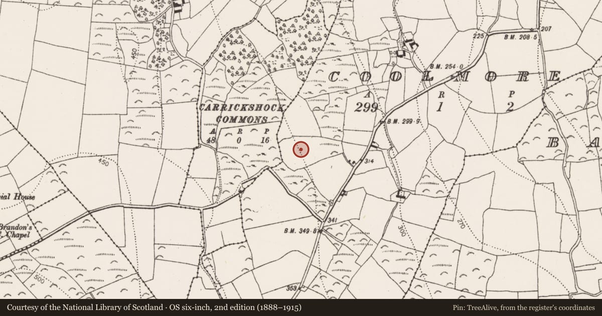 Ordnance Survey six-inch map, 2nd edition (1888–1915) covering the location of Excavation - miscellaneous, Coolmore, County Kilkenny, with a pin at the register's coordinates