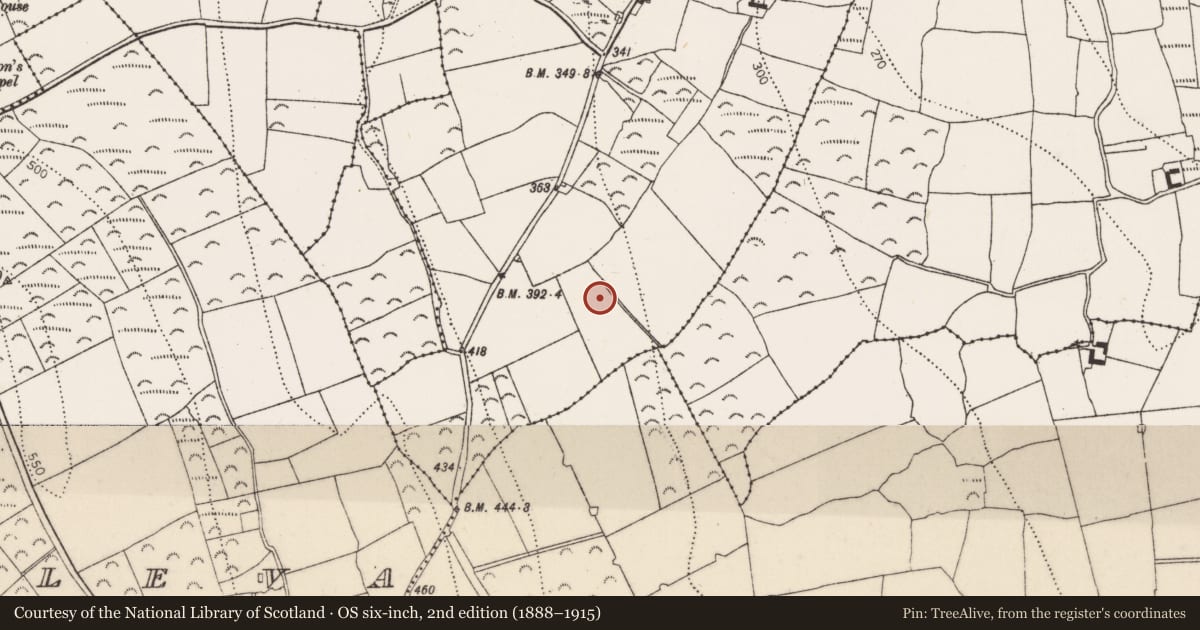 Ordnance Survey six-inch map, 2nd edition (1888–1915) covering the location of Kiln, Coolmore, County Kilkenny, with a pin at the register's coordinates