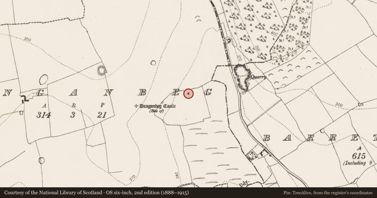 Ordnance Survey six-inch map, 2nd edition (1888–1915) covering the location of Excavation - miscellaneous, Danganbeg, County Kilkenny, with a pin at the register's coordinates