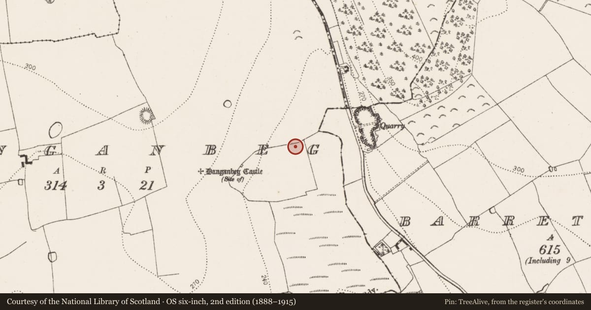 Ordnance Survey six-inch map, 2nd edition (1888–1915) covering the location of Fulacht fia, Danganbeg, County Kilkenny, with a pin at the register's coordinates