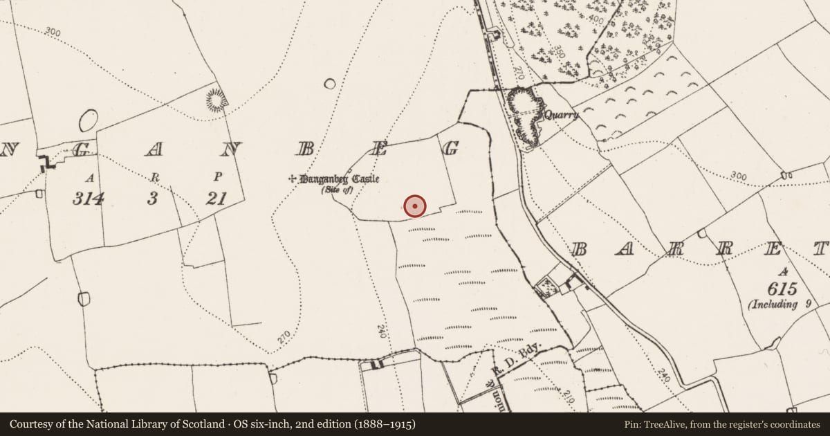 Ordnance Survey six-inch map, 2nd edition (1888–1915) covering the location of Fulacht fia, Danganbeg, County Kilkenny, with a pin at the register's coordinates