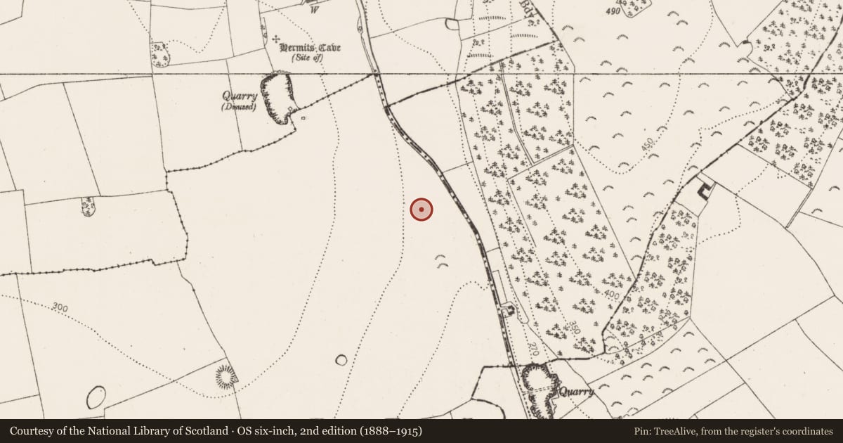 Ordnance Survey six-inch map, 2nd edition (1888–1915) covering the location of Burnt pit, Danganbeg, County Kilkenny, with a pin at the register's coordinates