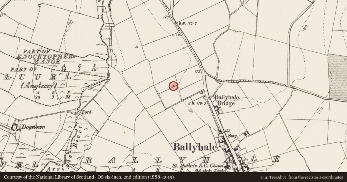 Ordnance Survey six-inch map, 2nd edition (1888–1915) covering the location of Enclosure, Ballyhale, County Kilkenny, with a pin at the register's coordinates