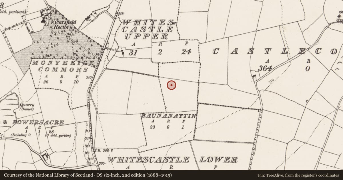 Ordnance Survey six-inch map, 2nd edition (1888–1915) covering the location of Concentric enclosure, Baunanattin, County Kilkenny, with a pin at the register's coordinates