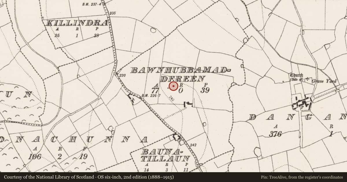 Ordnance Survey six-inch map, 2nd edition (1888–1915) covering the location of Enclosure, Bawnhubbamaddereen, County Kilkenny, with a pin at the register's coordinates