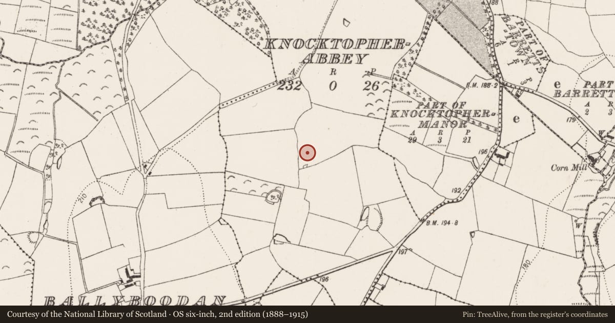 Ordnance Survey six-inch map, 2nd edition (1888–1915) covering the location of Enclosure, Knocktopherabbey, County Kilkenny, with a pin at the register's coordinates