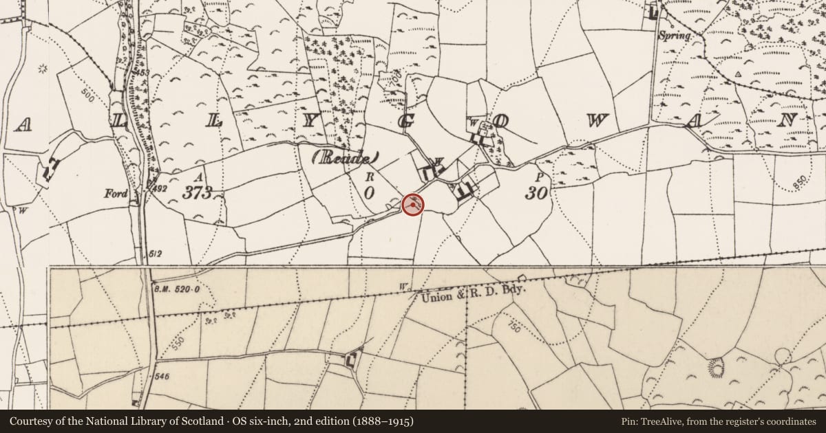 Ordnance Survey six-inch map, 2nd edition (1888–1915) covering the location of Ritual site - pond, Ballygowan (Reade), County Kilkenny, with a pin at the register's coordinates