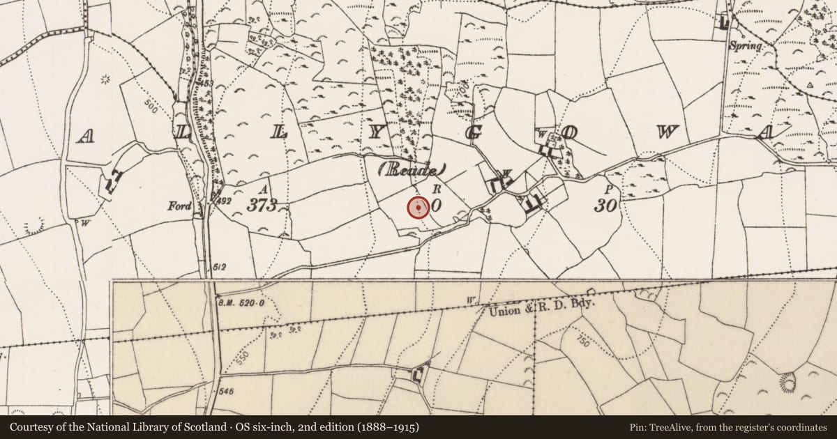Ordnance Survey six-inch map, 2nd edition (1888–1915) covering the location of Standing stone, Ballygowan (Reade), County Kilkenny, with a pin at the register's coordinates