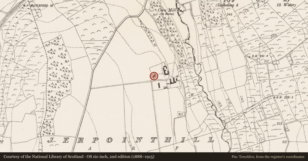 Ordnance Survey six-inch map, 2nd edition (1888–1915) covering the location of Ringfort - rath, Jerpointhill, County Kilkenny, with a pin at the register's coordinates