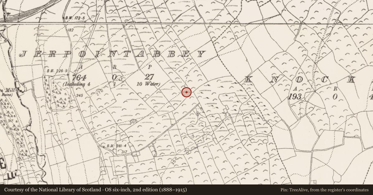 Ordnance Survey six-inch map, 2nd edition (1888–1915) covering the location of Enclosure, Jerpointabbey, County Kilkenny, with a pin at the register's coordinates