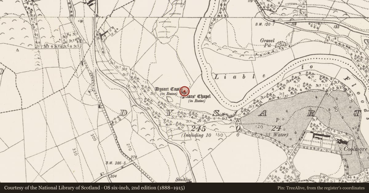 Ordnance Survey six-inch map, 2nd edition (1888–1915) covering the location of Church, Dysart, County Kilkenny, with a pin at the register's coordinates