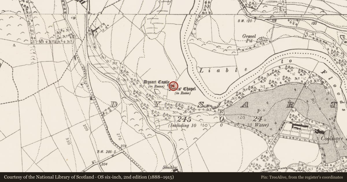 Ordnance Survey six-inch map, 2nd edition (1888–1915) covering the location of Graveyard, Dysart, County Kilkenny, with a pin at the register's coordinates