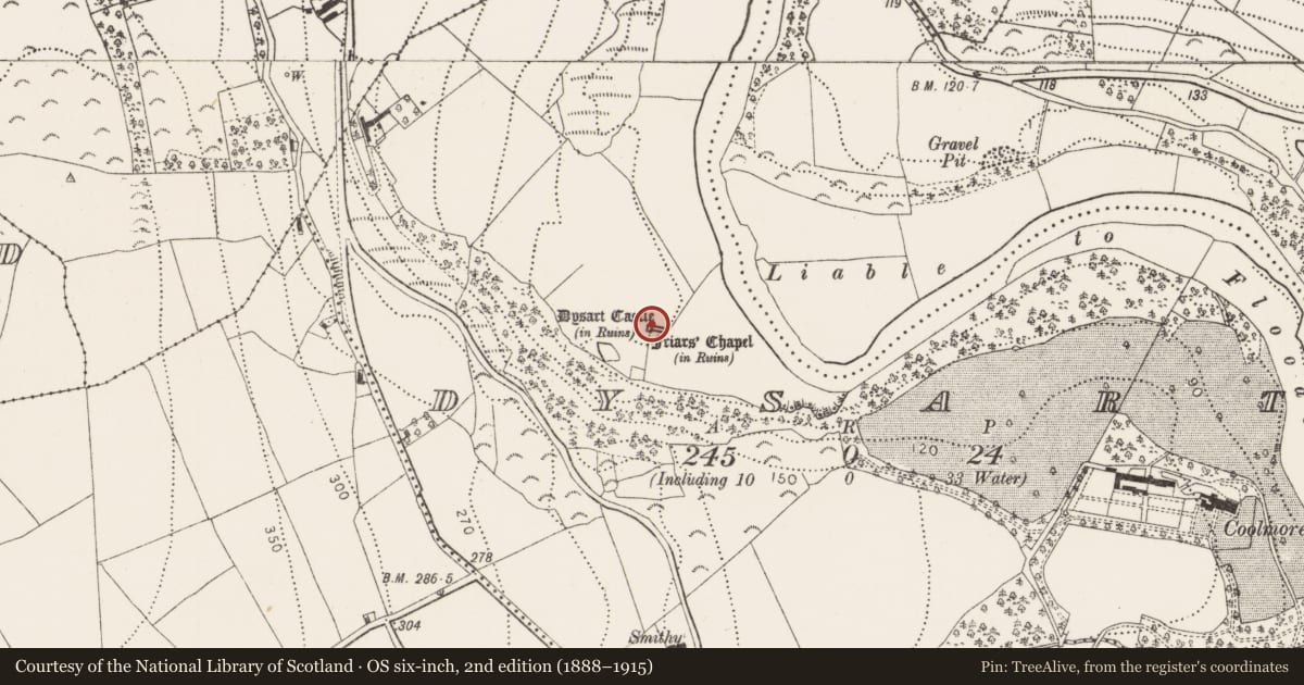 Ordnance Survey six-inch map, 2nd edition (1888–1915) covering the location of Castle - tower house, Dysart, County Kilkenny, with a pin at the register's coordinates