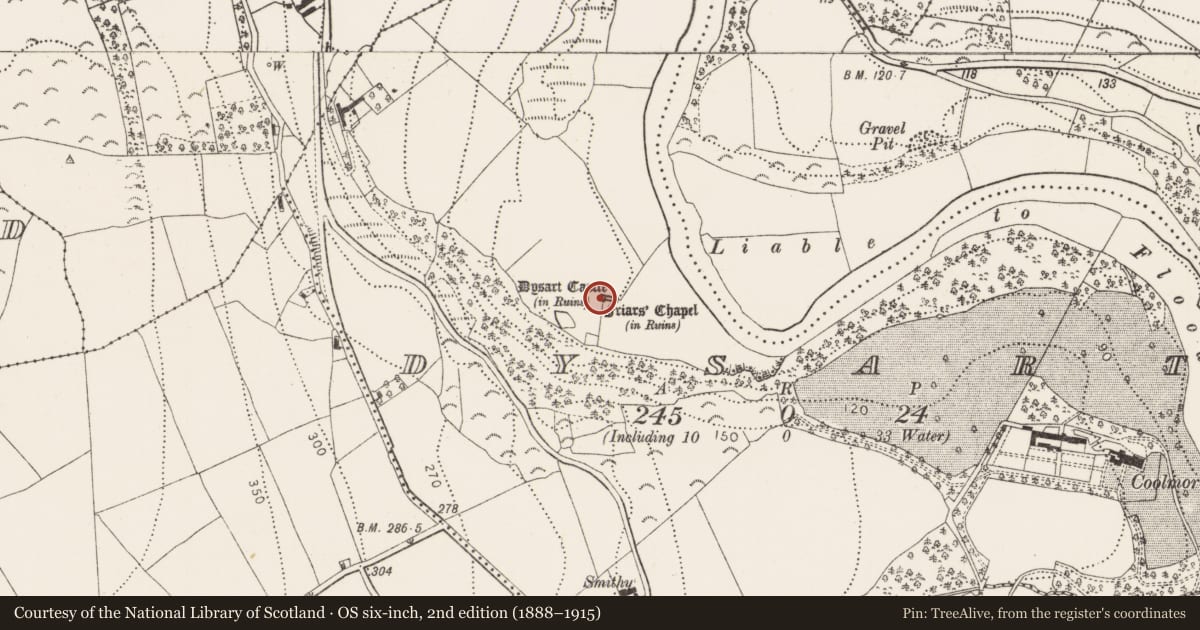 Ordnance Survey six-inch map, 2nd edition (1888–1915) covering the location of Cross-slab, Dysart, County Kilkenny, with a pin at the register's coordinates