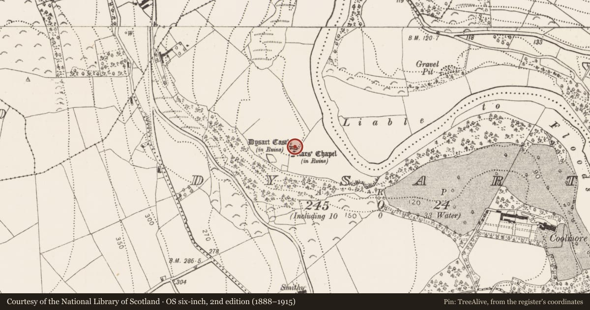 Ordnance Survey six-inch map, 2nd edition (1888–1915) covering the location of Cross-slab, Dysart, County Kilkenny, with a pin at the register's coordinates