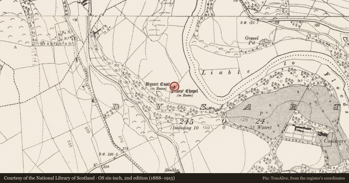 Ordnance Survey six-inch map, 2nd edition (1888–1915) covering the location of Wall monument, Dysart, County Kilkenny, with a pin at the register's coordinates
