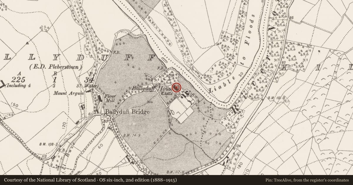 Ordnance Survey six-inch map, 2nd edition (1888–1915) covering the location of Castle - tower house, Ballyduff, County Kilkenny, with a pin at the register's coordinates
