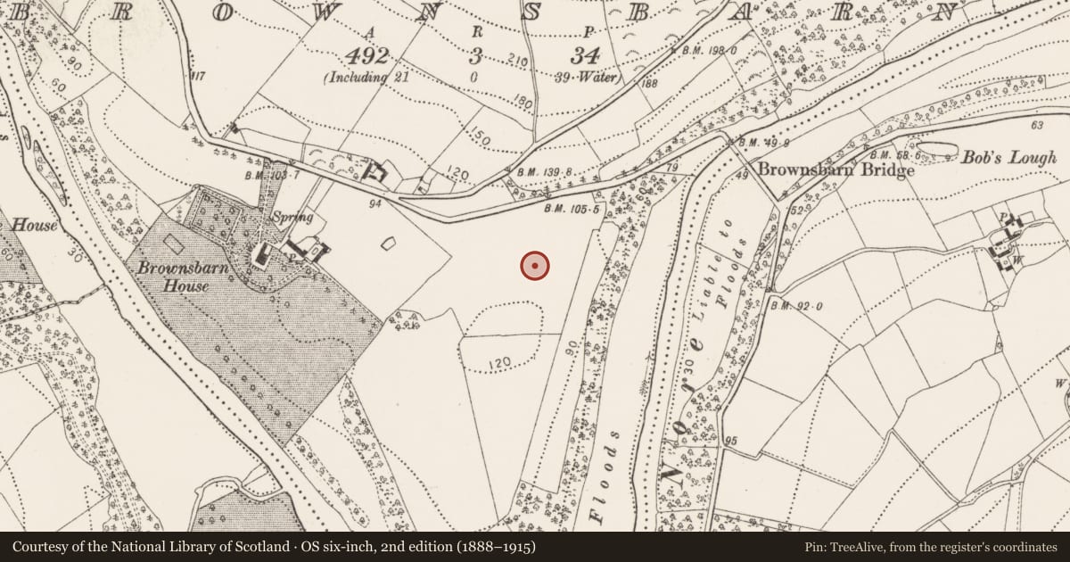 Ordnance Survey six-inch map, 2nd edition (1888–1915) covering the location of Enclosure, Brownsbarn, County Kilkenny, with a pin at the register's coordinates