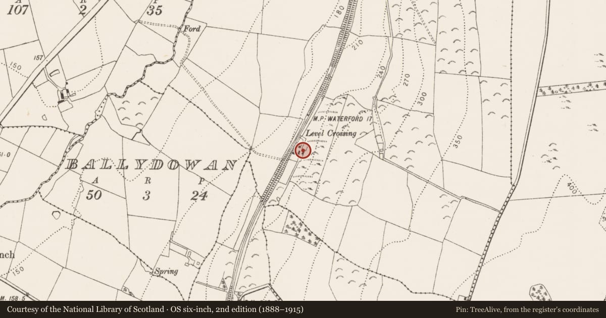 Ordnance Survey six-inch map, 2nd edition (1888–1915) covering the location of Megalithic tomb - unclassified, Ballylowra, County Kilkenny, with a pin at the register's coordinates
