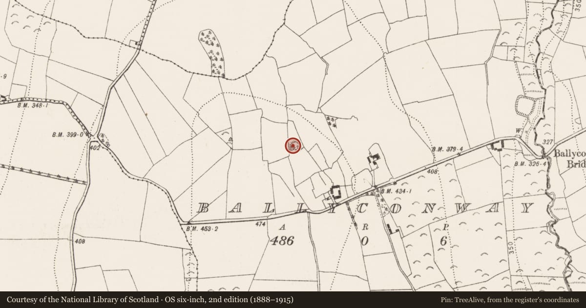 Ordnance Survey six-inch map, 2nd edition (1888–1915) covering the location of Ringfort - rath, Ballyconway, County Kilkenny, with a pin at the register's coordinates