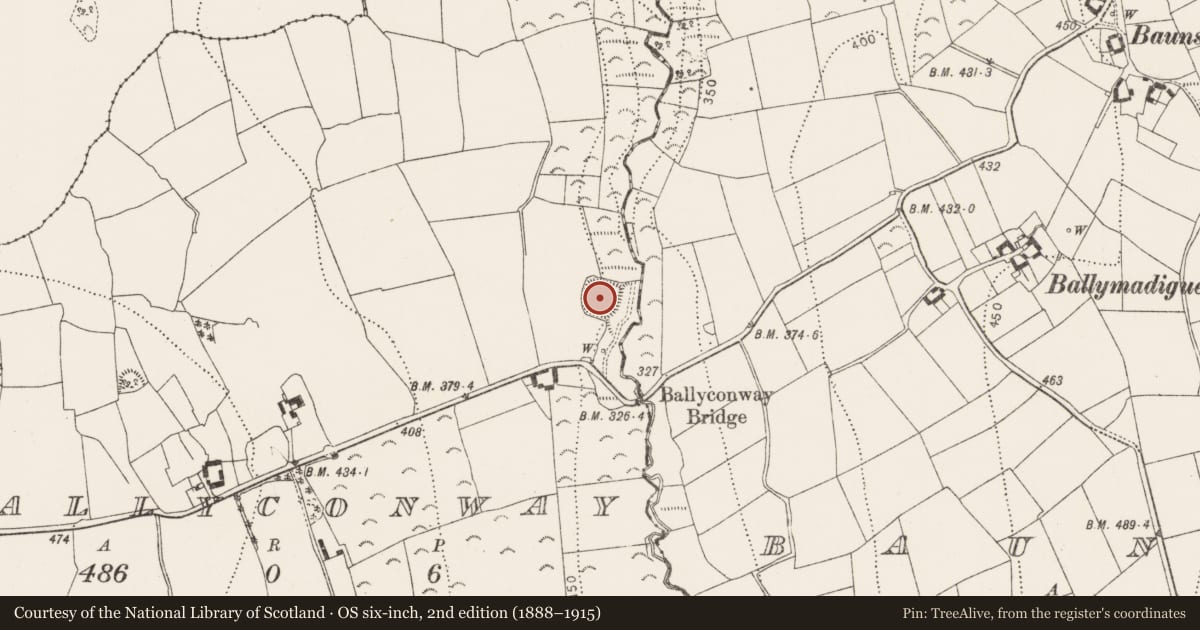 Ordnance Survey six-inch map, 2nd edition (1888–1915) covering the location of Earthwork, Ballyconway, County Kilkenny, with a pin at the register's coordinates