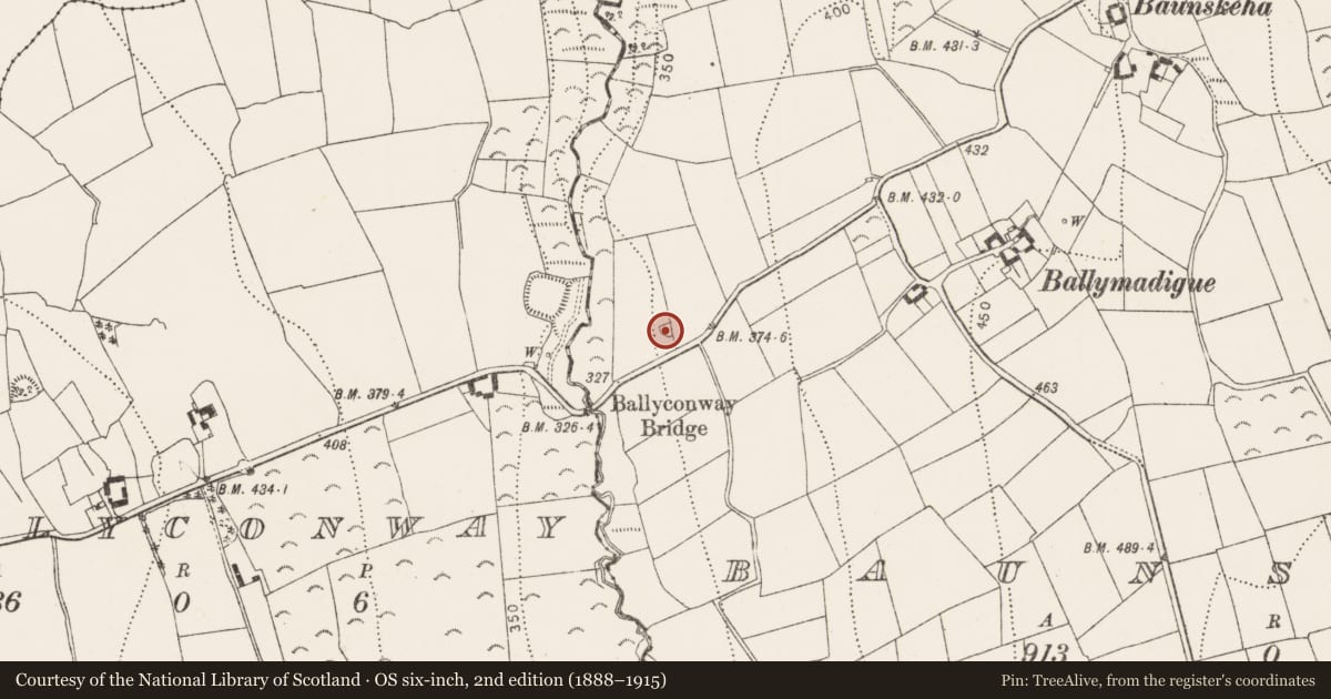 Ordnance Survey six-inch map, 2nd edition (1888–1915) covering the location of Enclosure, Baunskeha, County Kilkenny, with a pin at the register's coordinates