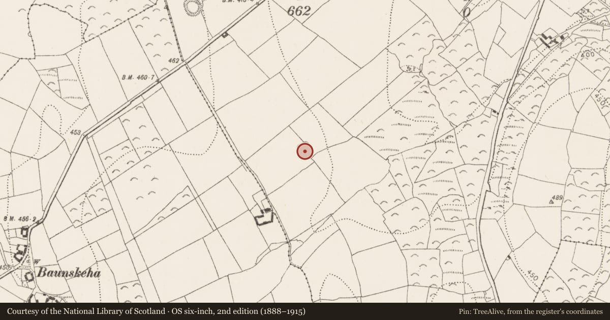Ordnance Survey six-inch map, 2nd edition (1888–1915) covering the location of Ringfort - rath, Pleberstown, County Kilkenny, with a pin at the register's coordinates
