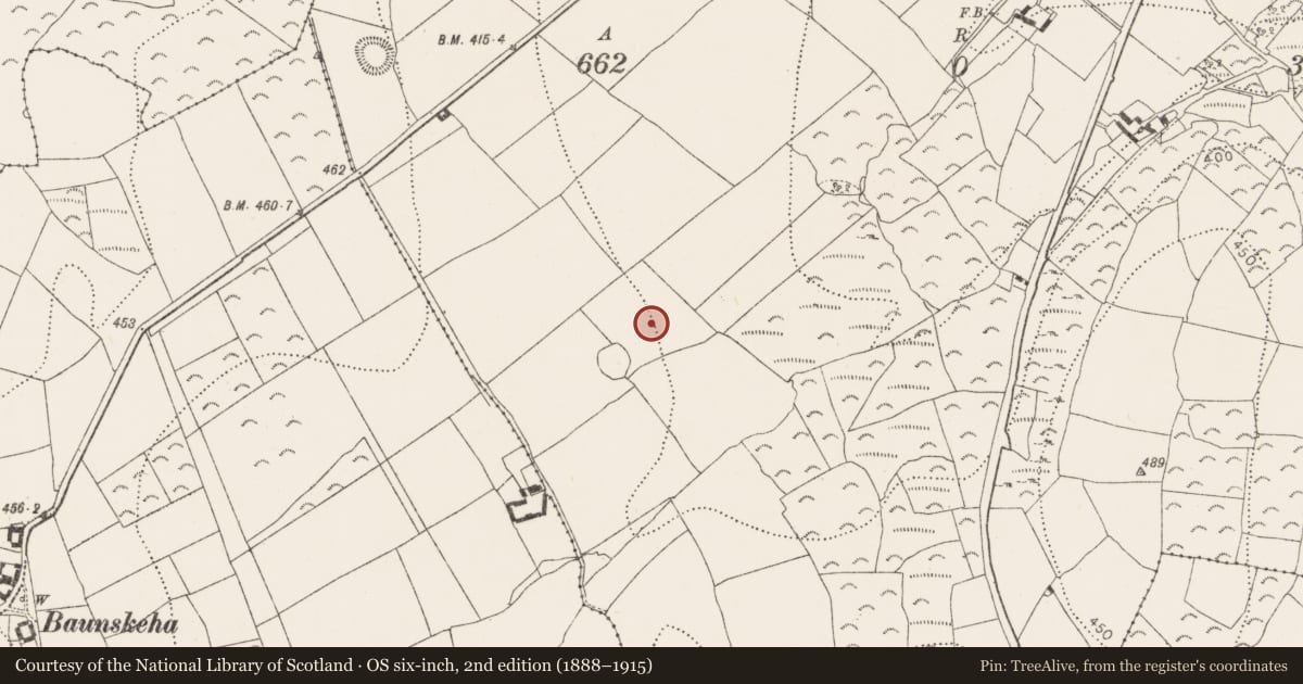Ordnance Survey six-inch map, 2nd edition (1888–1915) covering the location of Souterrain, Pleberstown, County Kilkenny, with a pin at the register's coordinates
