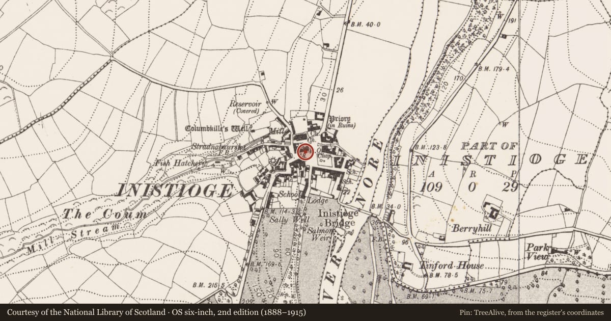 Ordnance Survey six-inch map, 2nd edition (1888–1915) covering the location of Historic town, Inistioge, County Kilkenny, with a pin at the register's coordinates
