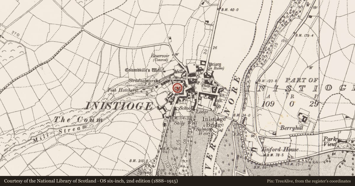 Ordnance Survey six-inch map, 2nd edition (1888–1915) covering the location of Castle - motte, Inistioge, County Kilkenny, with a pin at the register's coordinates