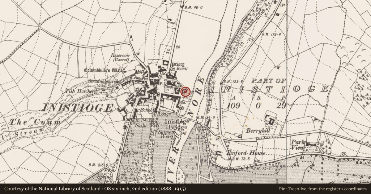 Ordnance Survey six-inch map, 2nd edition (1888–1915) covering the location of House - fortified house, Inistioge, County Kilkenny, with a pin at the register's coordinates