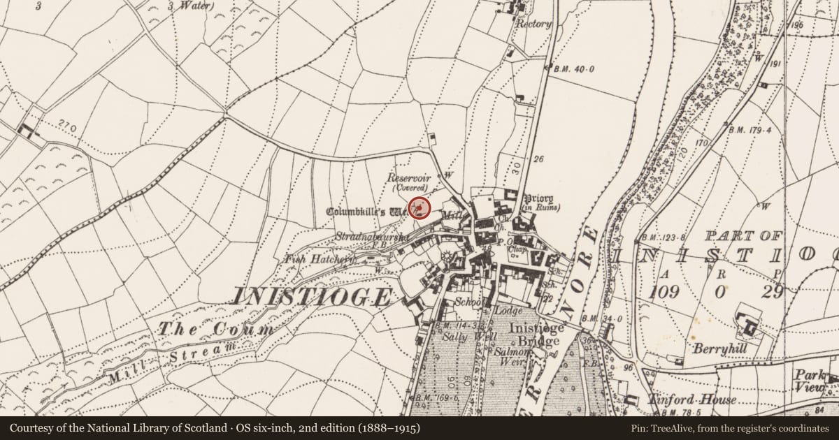 Ordnance Survey six-inch map, 2nd edition (1888–1915) covering the location of Architectural fragment, Inistioge, County Kilkenny, with a pin at the register's coordinates